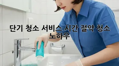 단기 청소 서비스: 시간 절약 청소 노하우