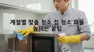 계절별 맞춤 청소! 집 청소 효율 높이는 꿀팁