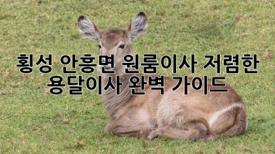 횡성 안흥면 원룸이사? 저렴한 용달이사 완벽 가이드!
