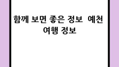예천군 풍양면 하풍리 렌트카, 어떤 차를 선택해야 할까요?