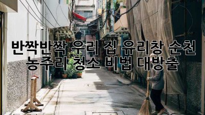 ✨반짝반짝✨ 우리 집 유리창, 순천 농주리 청소 비법 대방출! 🏡