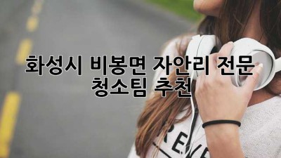 화성시 비봉면 자안리 전문 청소팀 추천