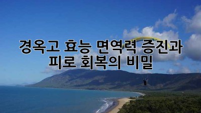 경옥고 효능: 면역력 증진과 피로 회복의 비밀