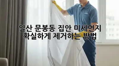 일산 문봉동 집안 미세먼지, 확실하게 제거하는 방법!